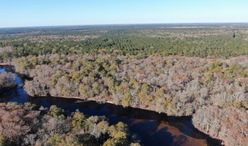 Photo #5 of Off Hwy 41, Marion, SC 133.0 acres