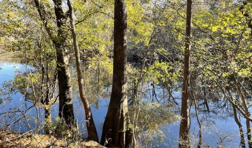Photo #10 of Off Hwy 41, Marion, SC 133.0 acres