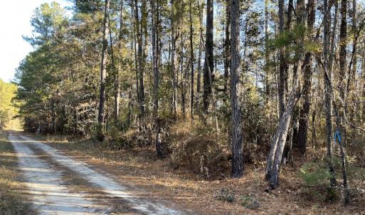 Photo #13 of Off Hwy 41, Marion, SC 133.0 acres