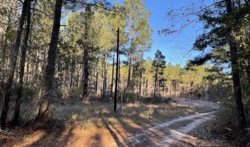 Photo #17 of Off Hwy 41, Marion, SC 133.0 acres