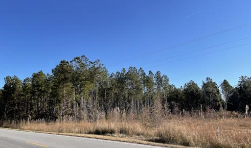 Photo #19 of Off Hwy 41, Marion, SC 133.0 acres