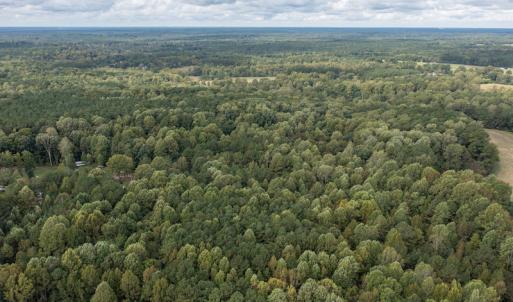 Photo #8 of SOLD property in Off Ingle Drive, Louisburg, NC 2.1 acres