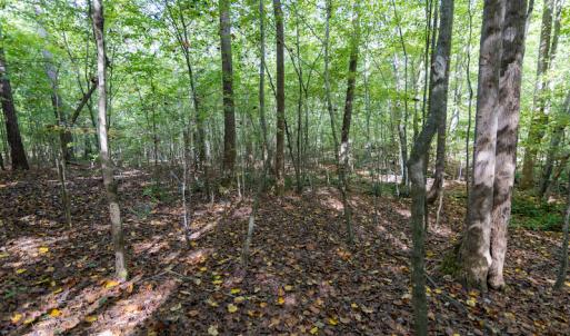 Photo #11 of SOLD property in Off Ingle Drive, Louisburg, NC 2.1 acres