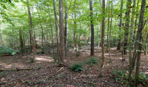 Photo #12 of SOLD property in Off Ingle Drive, Louisburg, NC 2.1 acres