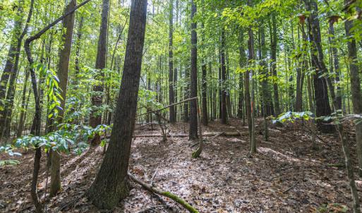 Photo #13 of SOLD property in Off Ingle Drive, Louisburg, NC 2.1 acres