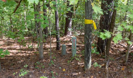 Photo #14 of SOLD property in Off Ingle Drive, Louisburg, NC 2.1 acres