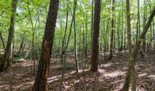 Photo #15 of SOLD property in Off Ingle Drive, Louisburg, NC 2.1 acres