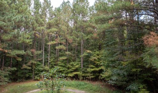 Photo #16 of SOLD property in Off Ingle Drive, Louisburg, NC 2.1 acres
