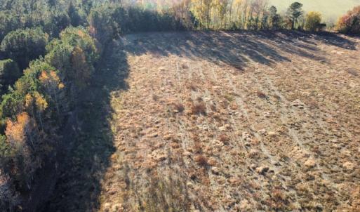 Photo #13 of SOLD property in Off Night Owl Lane, Conway, SC 18.6 acres