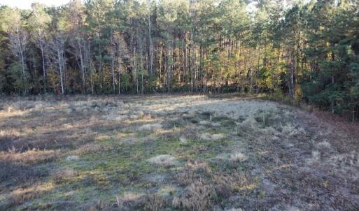 Photo #5 of SOLD property in Off Night Owl Lane, Conway, SC 18.6 acres