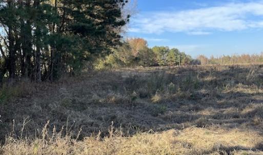 Photo #8 of SOLD property in Off Night Owl Lane, Conway, SC 18.6 acres