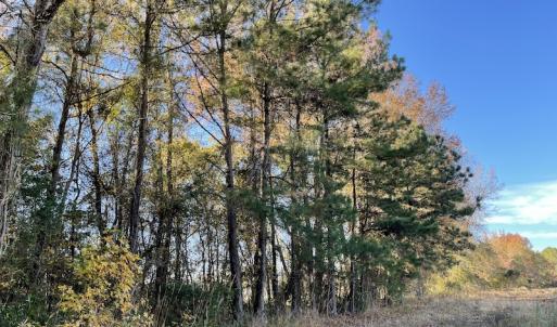 Photo #10 of SOLD property in Off Night Owl Lane, Conway, SC 18.6 acres