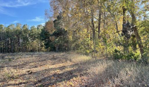 Photo #11 of SOLD property in Off Night Owl Lane, Conway, SC 18.6 acres