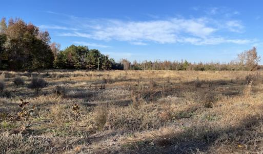 Photo #12 of SOLD property in Off Night Owl Lane, Conway, SC 18.6 acres