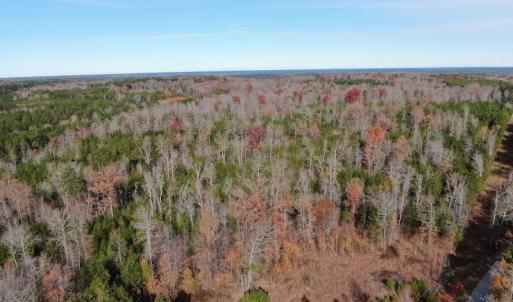 Photo #3 of SOLD property in Off SC 34 - Mount Hope Rd, Ridgeway, SC 42.0 acres
