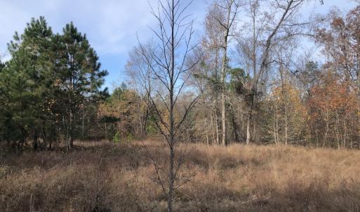 Photo #10 of SOLD property in Off SC 34 - Mount Hope Rd, Ridgeway, SC 42.0 acres