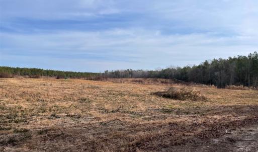 Photo #10 of SOLD property in Off Liberty Hall Road, King and Queen Courthouse, VA 19.3 acres