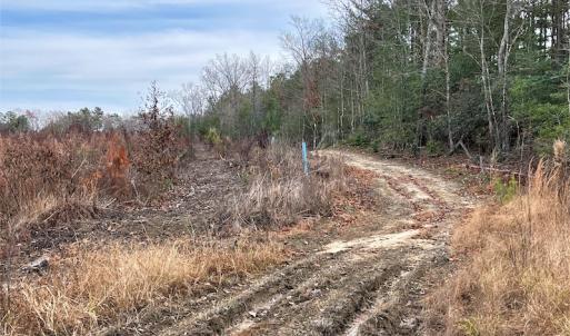 Photo #12 of SOLD property in Off Liberty Hall Road, King and Queen Courthouse, VA 19.3 acres