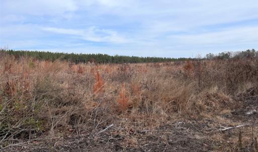 Photo #13 of SOLD property in Off Liberty Hall Road, King and Queen Courthouse, VA 19.3 acres