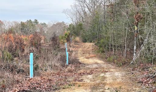 Photo #14 of SOLD property in Off Liberty Hall Road, King and Queen Courthouse, VA 19.3 acres