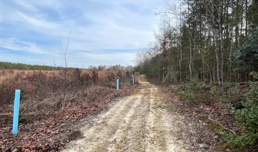 Photo #15 of SOLD property in Off Liberty Hall Road, King and Queen Courthouse, VA 19.3 acres