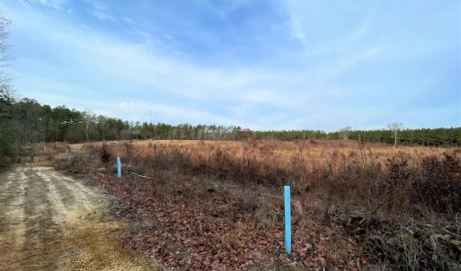 Photo #16 of SOLD property in Off Liberty Hall Road, King and Queen Courthouse, VA 19.3 acres