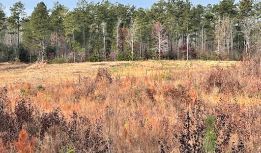 Photo #18 of SOLD property in Off Liberty Hall Road, King and Queen Courthouse, VA 19.3 acres