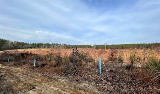 Photo #19 of SOLD property in Off Liberty Hall Road, King and Queen Courthouse, VA 19.3 acres