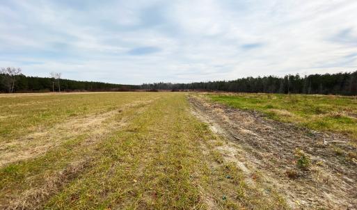 Photo #2 of SOLD property in Off Liberty Hall Road, King and Queen Courthouse, VA 19.3 acres