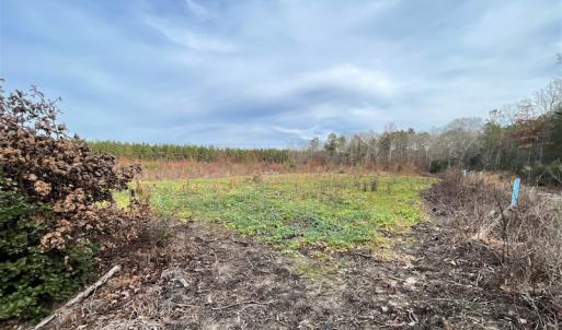 Photo #20 of SOLD property in Off Liberty Hall Road, King and Queen Courthouse, VA 19.3 acres