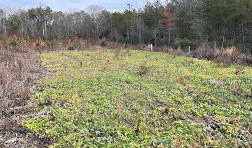 Photo #21 of SOLD property in Off Liberty Hall Road, King and Queen Courthouse, VA 19.3 acres