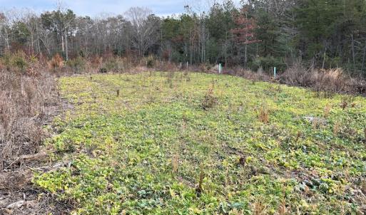 Photo #21 of SOLD property in Off Liberty Hall Road, King and Queen Courthouse, VA 19.3 acres