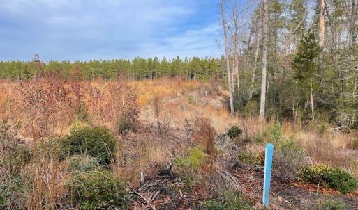 Photo #22 of SOLD property in Off Liberty Hall Road, King and Queen Courthouse, VA 19.3 acres