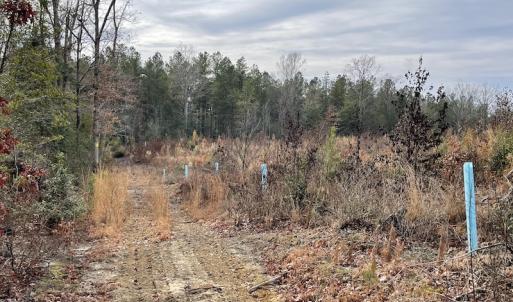 Photo #23 of SOLD property in Off Liberty Hall Road, King and Queen Courthouse, VA 19.3 acres
