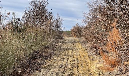 Photo #24 of SOLD property in Off Liberty Hall Road, King and Queen Courthouse, VA 19.3 acres