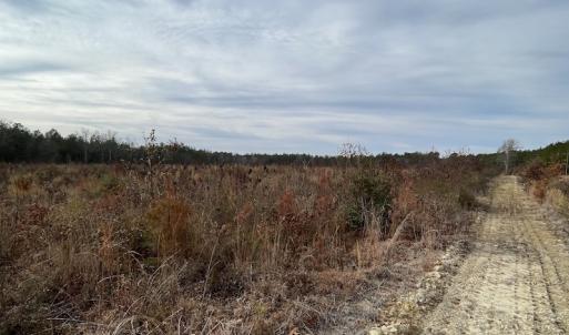 Photo #25 of SOLD property in Off Liberty Hall Road, King and Queen Courthouse, VA 19.3 acres