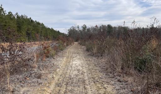 Photo #26 of SOLD property in Off Liberty Hall Road, King and Queen Courthouse, VA 19.3 acres