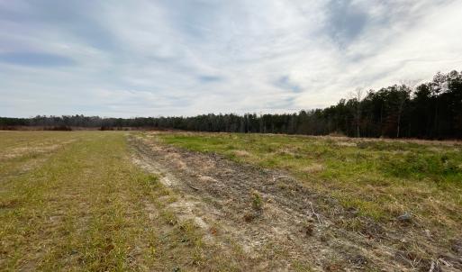 Photo #3 of SOLD property in Off Liberty Hall Road, King and Queen Courthouse, VA 19.3 acres