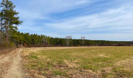 Photo #32 of SOLD property in Off Liberty Hall Road, King and Queen Courthouse, VA 19.3 acres