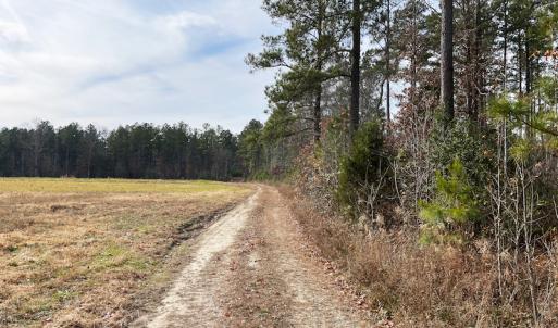 Photo #4 of SOLD property in Off Liberty Hall Road, King and Queen Courthouse, VA 19.3 acres