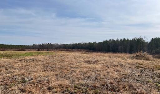 Photo #5 of SOLD property in Off Liberty Hall Road, King and Queen Courthouse, VA 19.3 acres