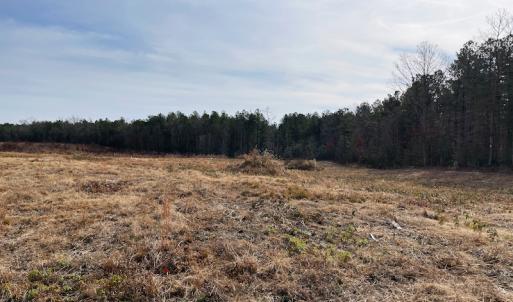 Photo #6 of SOLD property in Off Liberty Hall Road, King and Queen Courthouse, VA 19.3 acres