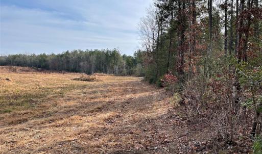 Photo #7 of SOLD property in Off Liberty Hall Road, King and Queen Courthouse, VA 19.3 acres