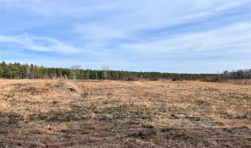 Photo #9 of SOLD property in Off Liberty Hall Road, King and Queen Courthouse, VA 19.3 acres