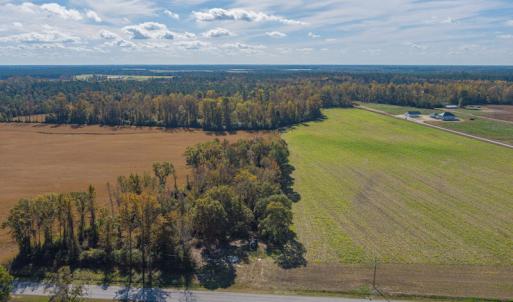 Photo #12 of SOLD property in Off Highway 111, Chinquapin, NC 13.6 acres
