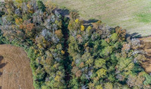 Photo #13 of SOLD property in Off Highway 111, Chinquapin, NC 13.6 acres
