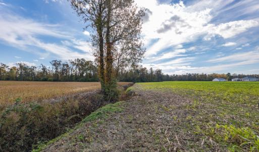 Photo #14 of SOLD property in Off Highway 111, Chinquapin, NC 13.6 acres