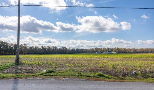 Photo #16 of SOLD property in Off Highway 111, Chinquapin, NC 13.6 acres