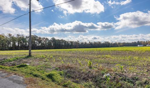 Photo #17 of SOLD property in Off Highway 111, Chinquapin, NC 13.6 acres