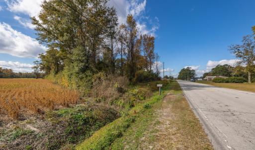 Photo #18 of SOLD property in Off Highway 111, Chinquapin, NC 13.6 acres